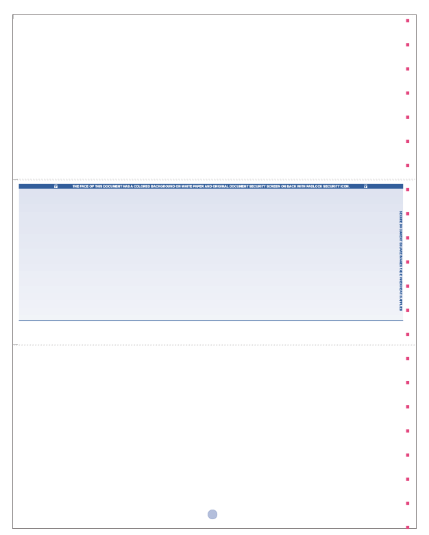 Blank Laser Middle Voucher Check (No Lines)