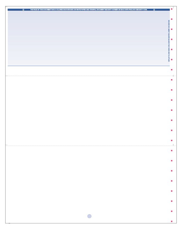 Blank Laser Voucher Checks (No Lines)